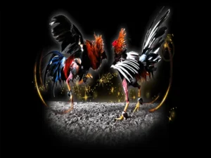 Tuyệt Chiêu Cách Chơi Đá Gà Sabong Tại DK8 Rinh Ngàn Tiền Thưởng