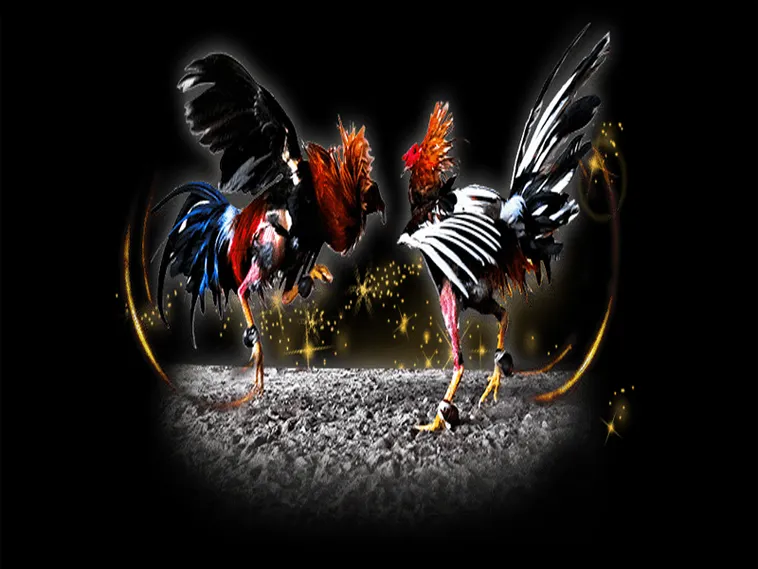 Tuyệt Chiêu Cách Chơi Đá Gà Sabong Tại DK8 Rinh Ngàn Tiền Thưởng