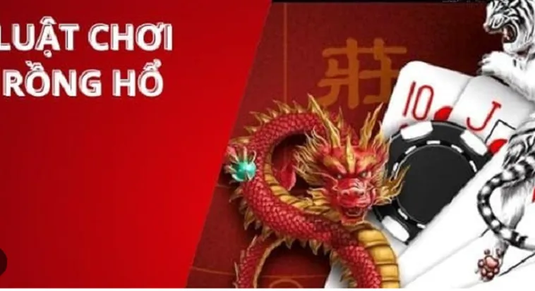 Chinh Phục Trò Chơi Dragon Tiger Tại DK8 Siêu Nhanh Và Đơn Giản 1 Chinh Phục Trò Chơi Dragon Tiger Tại DK8 Siêu Nhanh Và Đơn Giản