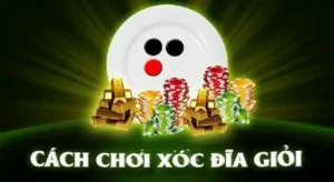 Trải Nghiệm Trò Chơi Xóc Đĩa Tại DK8 Đậm Chất Dân Gian Việt Nam